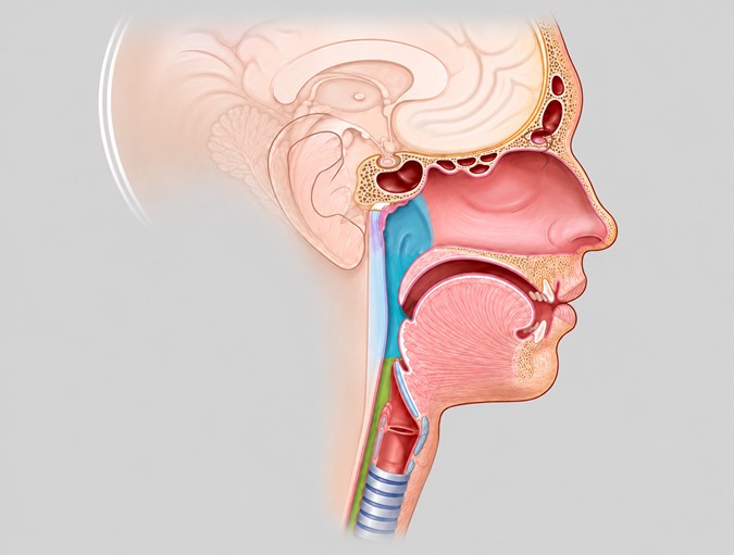Head and Neck Cancer Centre Hospital in Lucknow Head and Neck Cancer Centre in Lucknow India