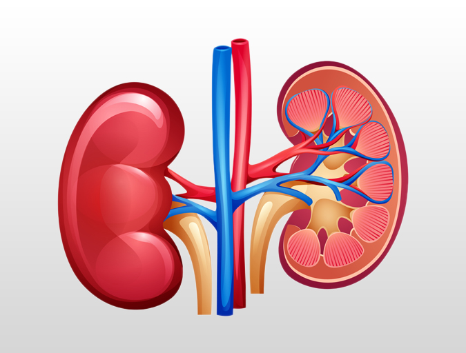 Chronic Kidney Disease Treatment in Lucknow