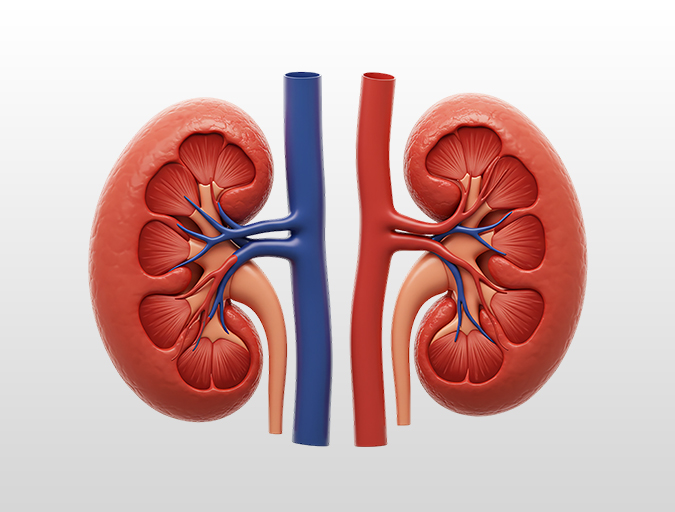 Chronic Kidney Disease Treatment in Lucknow, India